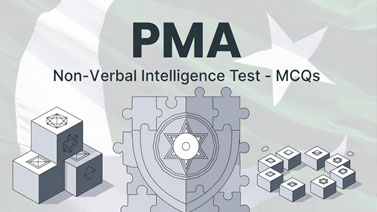 PMA Non-Verbal Intelligence Test